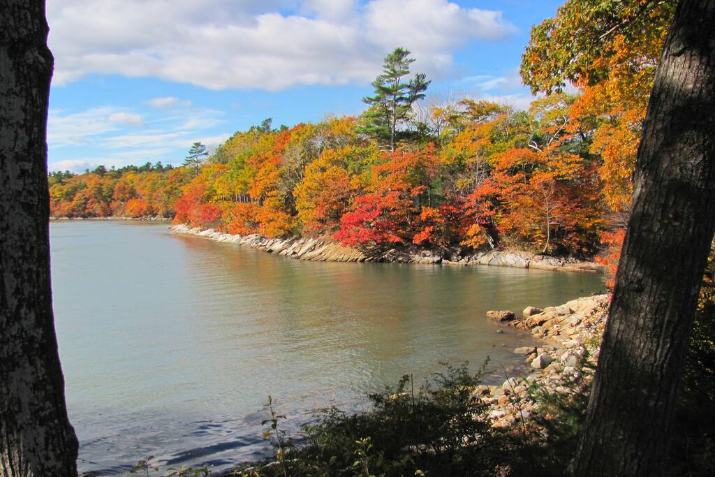 Enjoy spectacular views of fall foliage.