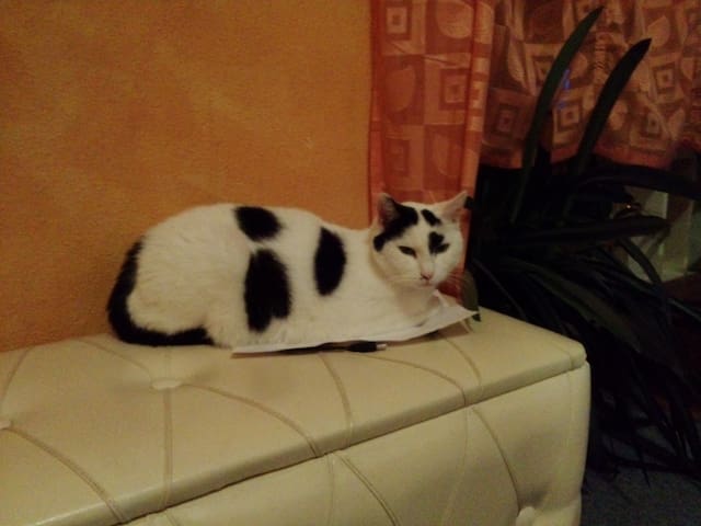 Im Herzen der Dresdner Neustadt