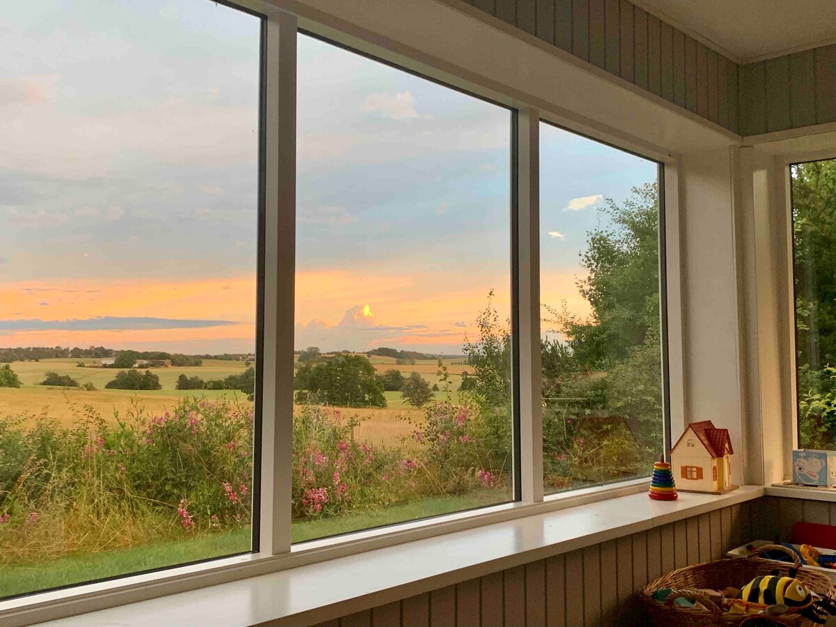 A large window displays a sweeping view of fields and skies during sunset, with soft hues reflected in the clouds. The window is framed by greenery and flowering plants, offering a serene backdrop. A colorful play area is visible in the corner, adding a touch of warmth.