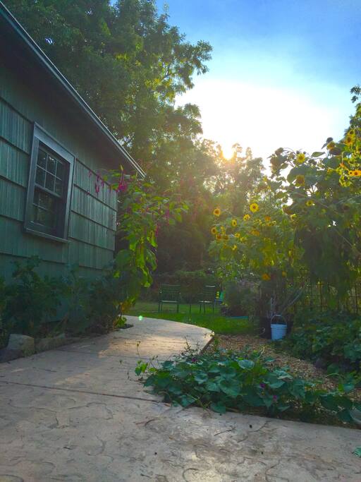 private green back yard
