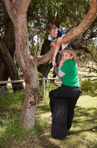 Moore River Holidays Farm backs onto Moore River. gallery image 4