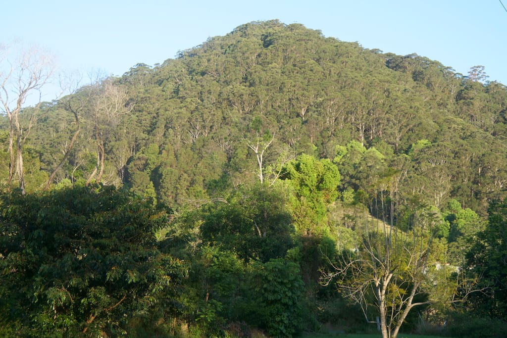 our view to Mount lucky