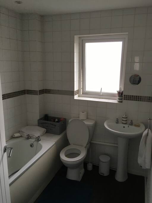 Bathroom (with electric shower)