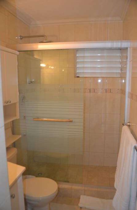 Newly remodeled bathroom includes glass-enclosed shower with rain shower head and ample storage.