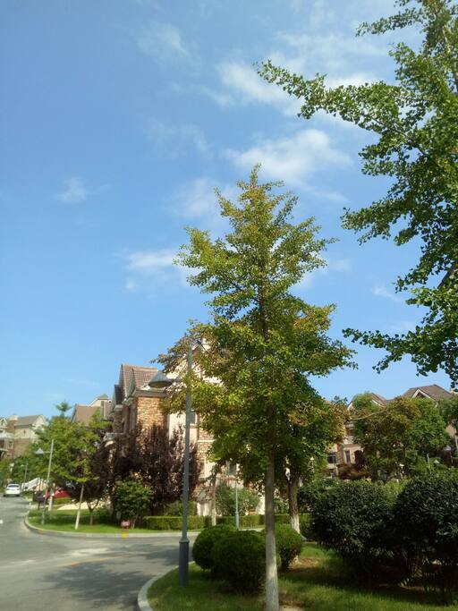 空气非常好。蓝天白云