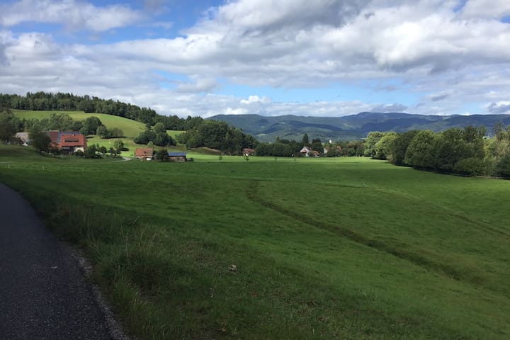 Holiday paradise Dietenbach (holiday apartment)