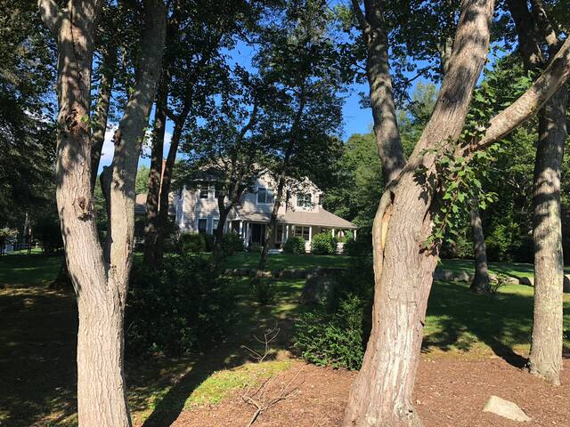 Pier, Pool, Paradise gallery image 5