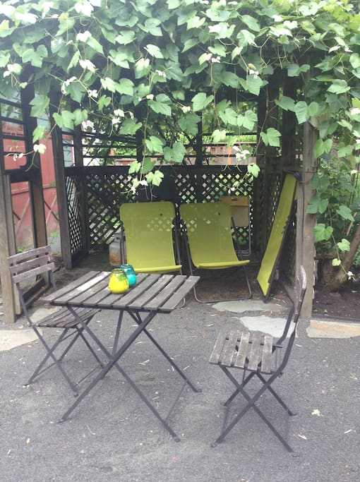 Backyard chairs