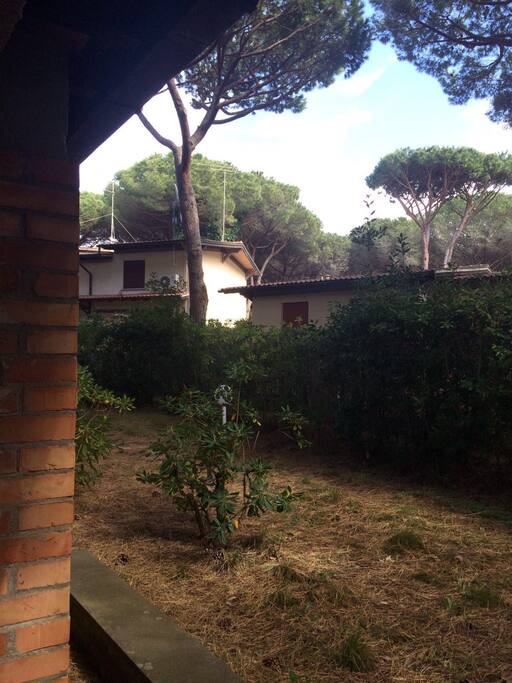 Giardino