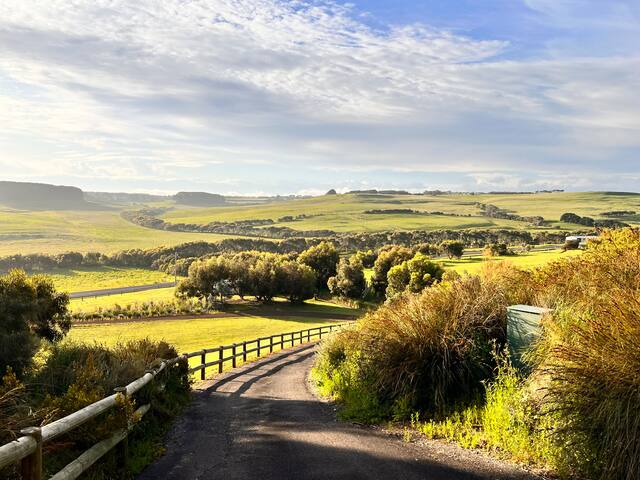 Banksia Port Campbell gallery image 3