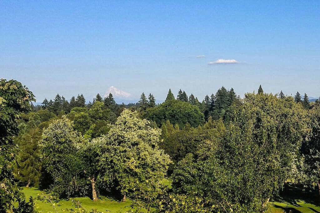 Just a short walk through the golf course for an amazing view of Mt Hood. My cell phone camera really can't do it justice.
