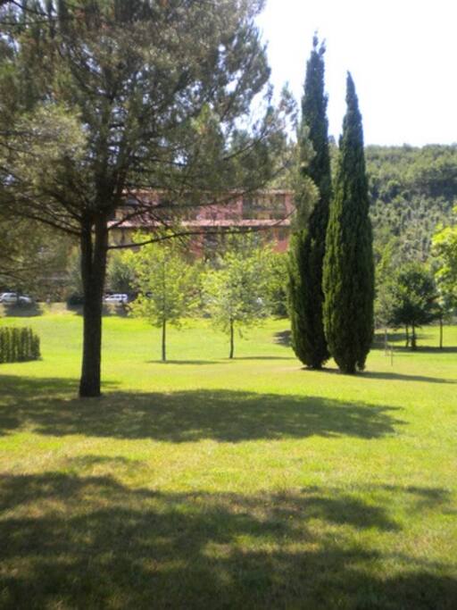 Some of the lovely green, most newer residences DON'T have this luxury.....