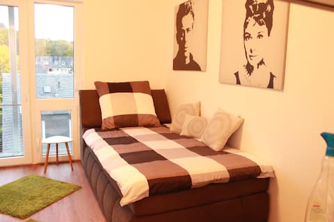Top Airbnb: At the Kaiserthermen Trier, with garage parking space in Trier