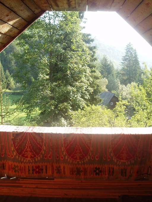 View from veranda