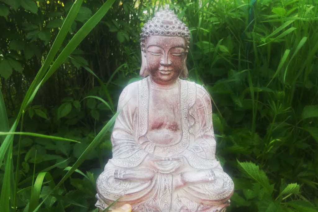 Enjoy our beautiful Zen Garden
