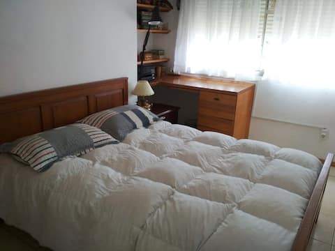 Luminosa habitación a pasitos del centro.