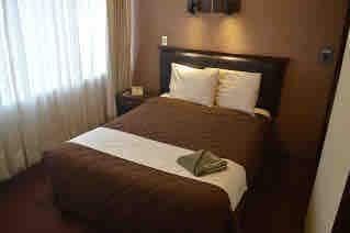 A cozy bedroom features a brown bedspread layered over a spacious bed, flanked by two white pillows. Natural light filters through a large window covered with light curtains, illuminating the room's warm tones. A bedside table supports a small lamp.