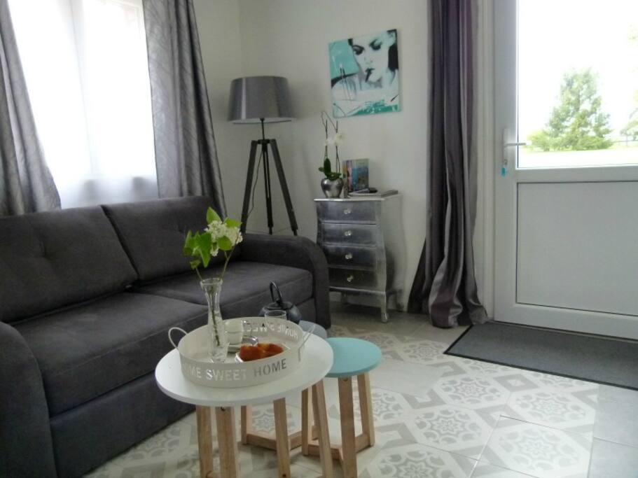 salon avec canapé convertible , accès indépendant