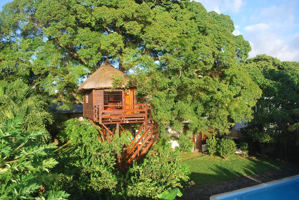 La Cabane dans l'Arbre. Tree Lodge Bed and breakfasts for Rent in Belle Mare, Flacq, Mauritius