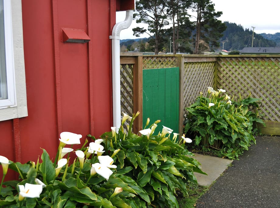 Green Gate Entrance to The Red Barn Cottage