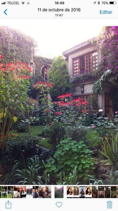Jardín de la casa
