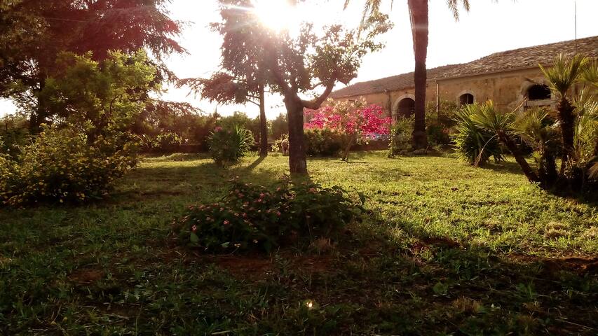 Olive Grove Relax,  Unique Country Getaway.