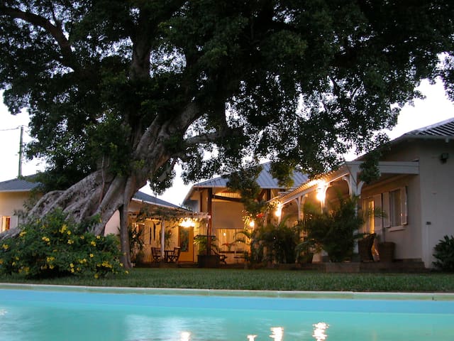 Tree Lodge - Bed & Breakfast