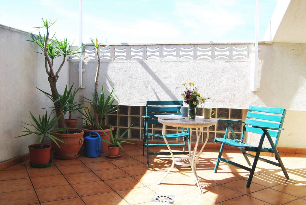 Sunny terrace with plants - Terraza soleada con plantas