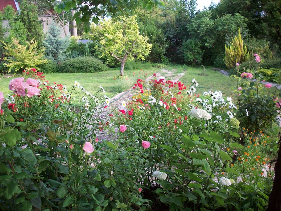 Private garden