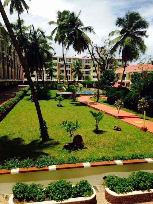 Garden