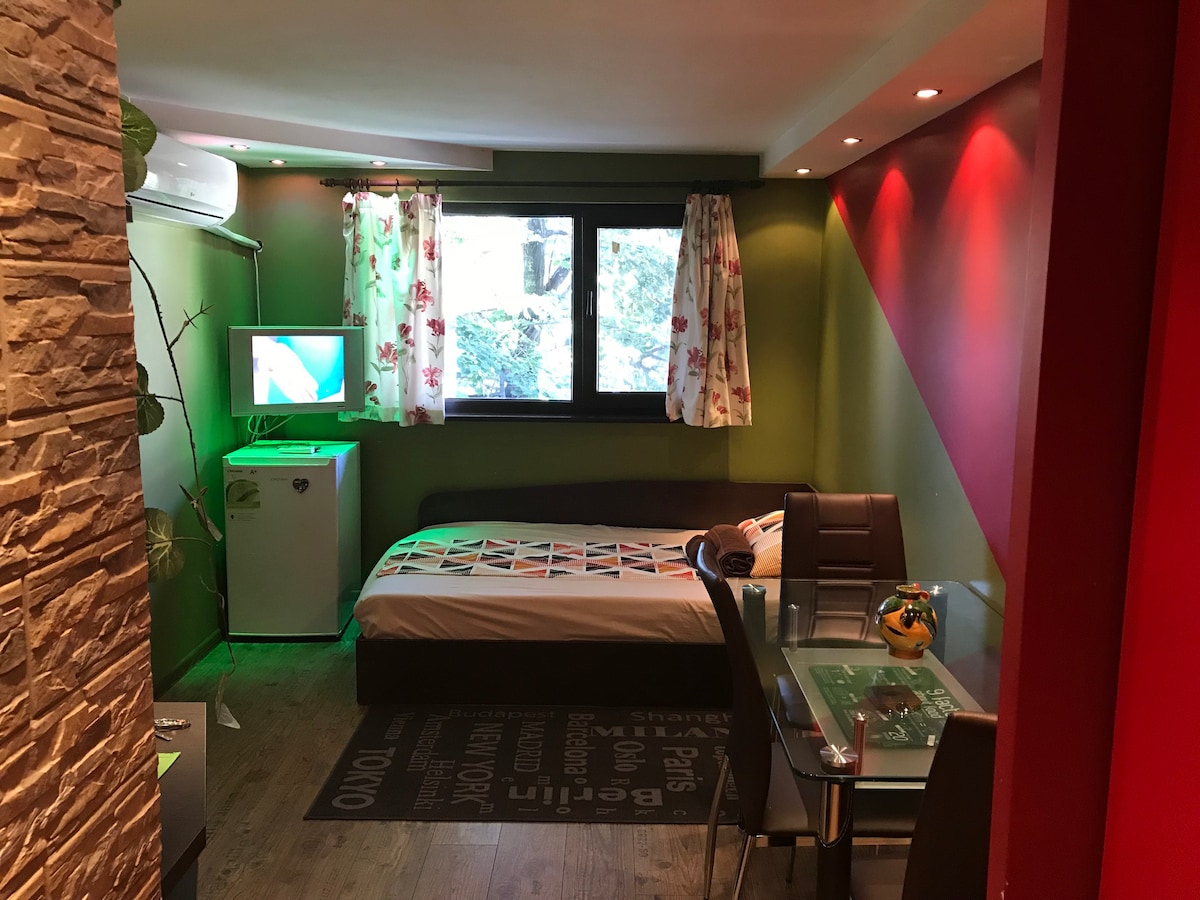 Plovdiv Pet-Friendly Rentals - Plovdiv Province, Bulgaria | Airbnb