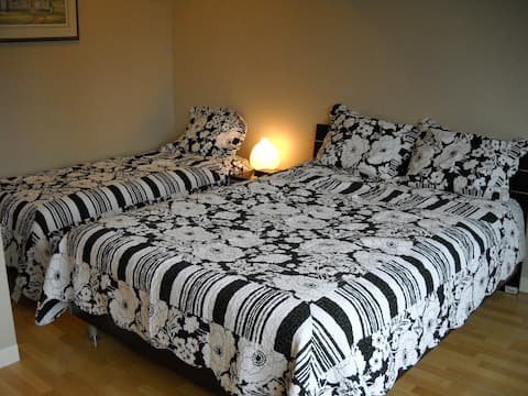 Deluxe Junior One Bedroom (2 Beds)