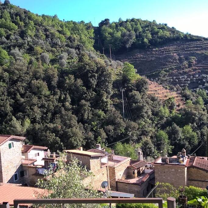 Casa del Grillo - TheVillage