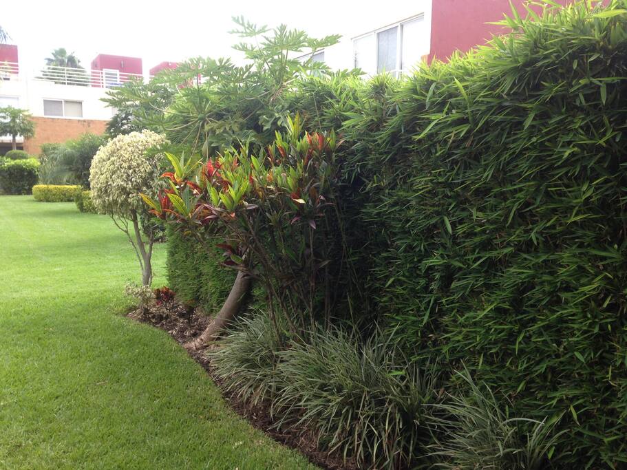 Jardín