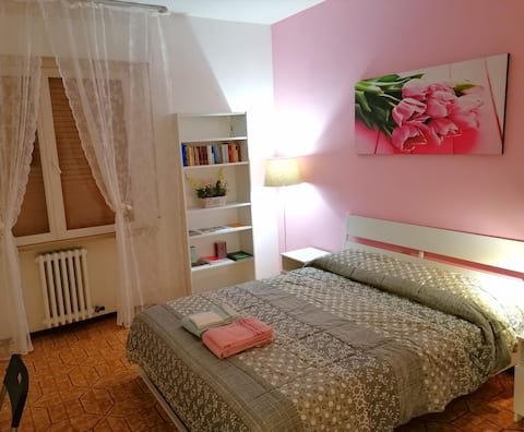 Nice Pink Room,  design moderno