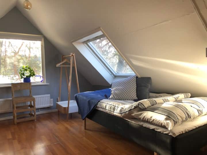 Alternativno, 2 kreveta za jednu osobu