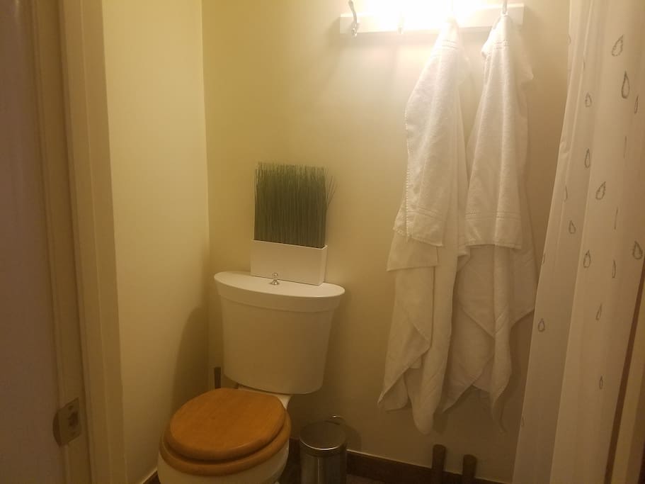 Bathroom with shower.