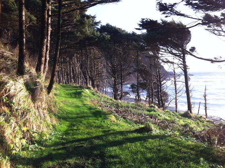 Falcon Cove Beach House w/ Outdoor Sauna Cabins for Rent in Falcon