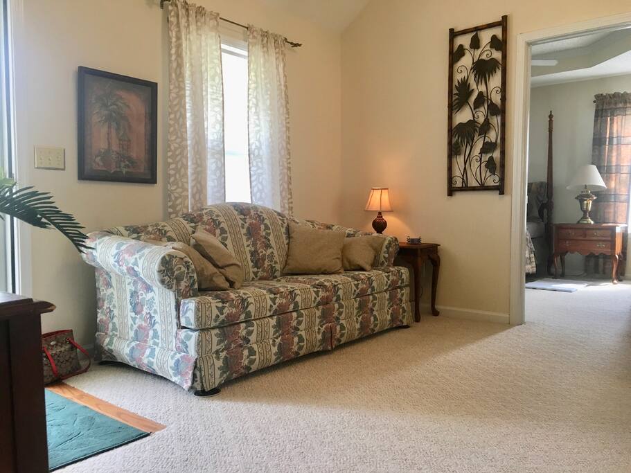 Living room - sleeper sofa