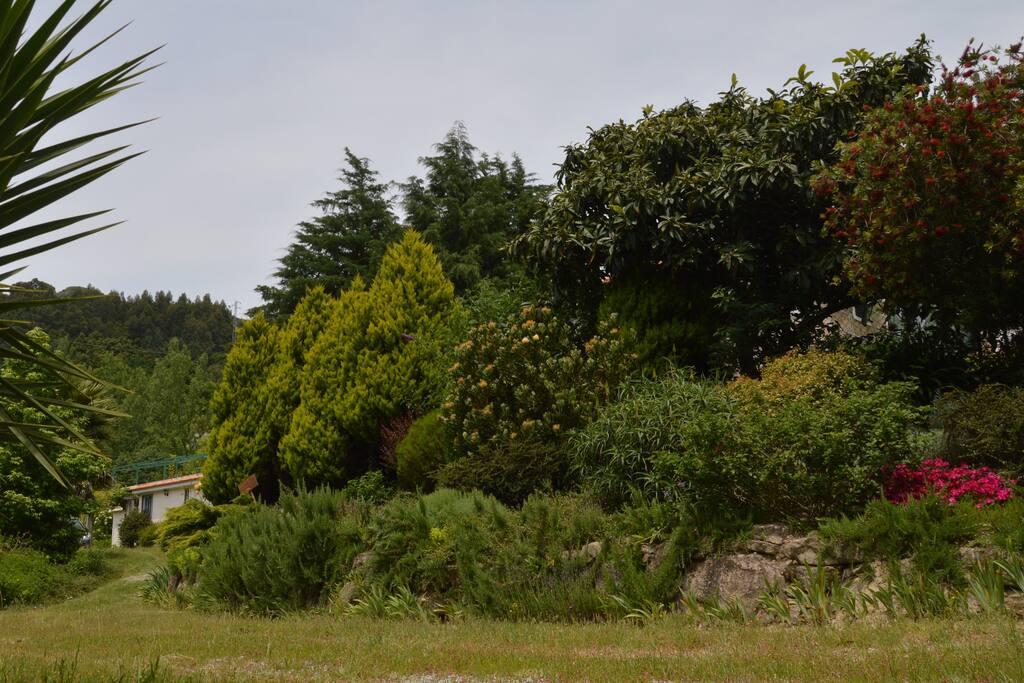 Jardim aromático