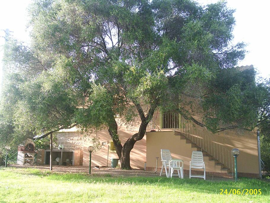 Ampio giardino con area barbecue
