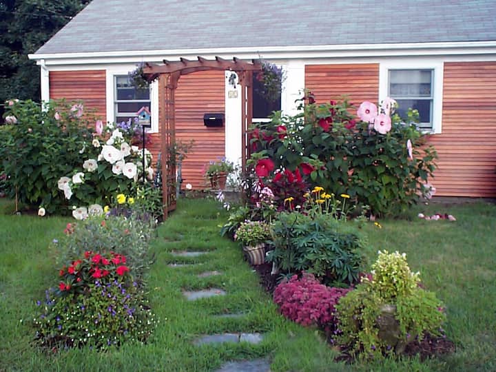 Hibiscus House Short Beach Walk Dog Friendly Houses for Rent in West