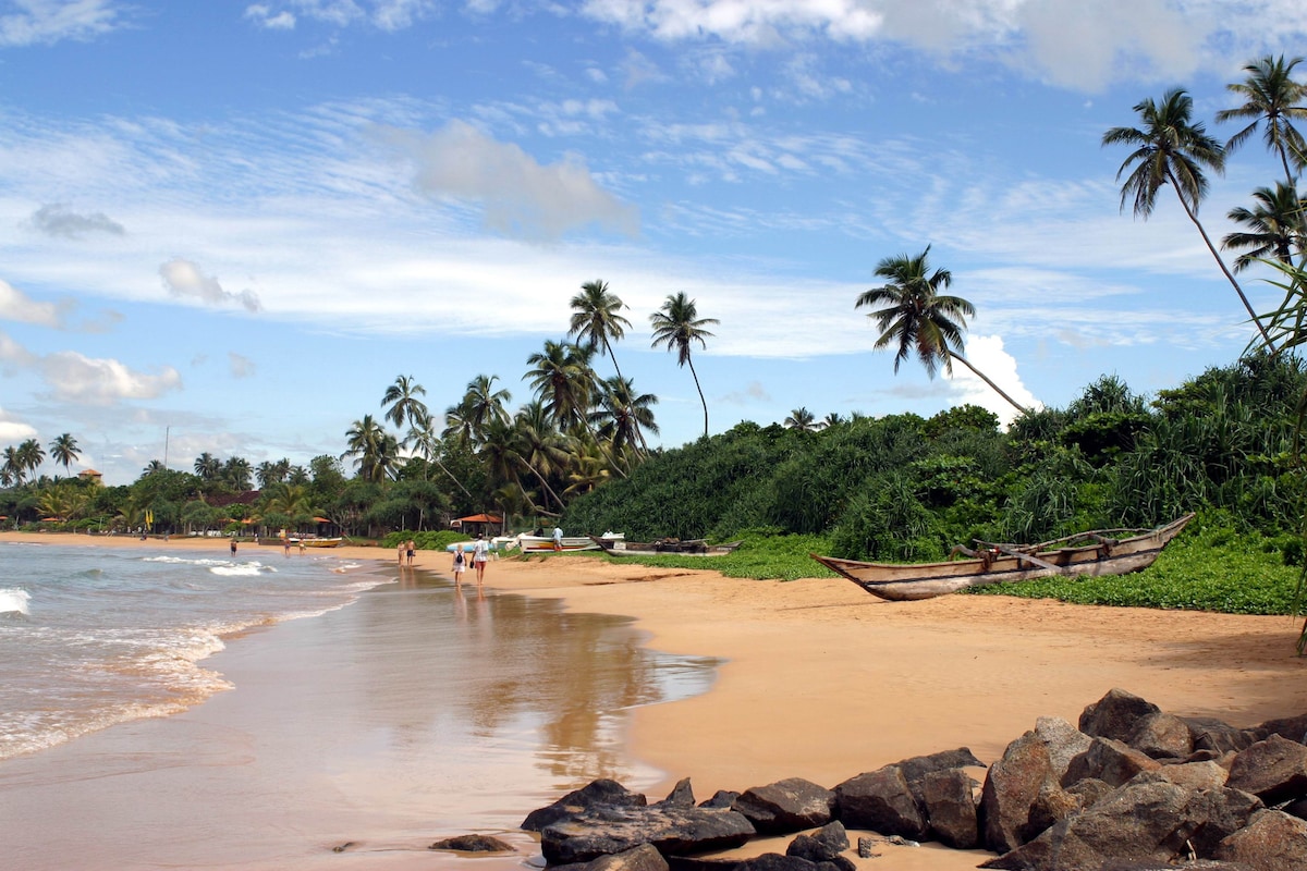 A serene beach scene is depicted, with soft sand and gentle waves lapping at the shore. Lush greenery lines the background, complemented by tall palm trees. Traditional fishing boats are anchored nearby, adding to the natural beauty of the coastal landscape.