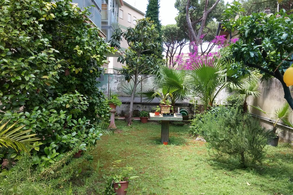 giardino