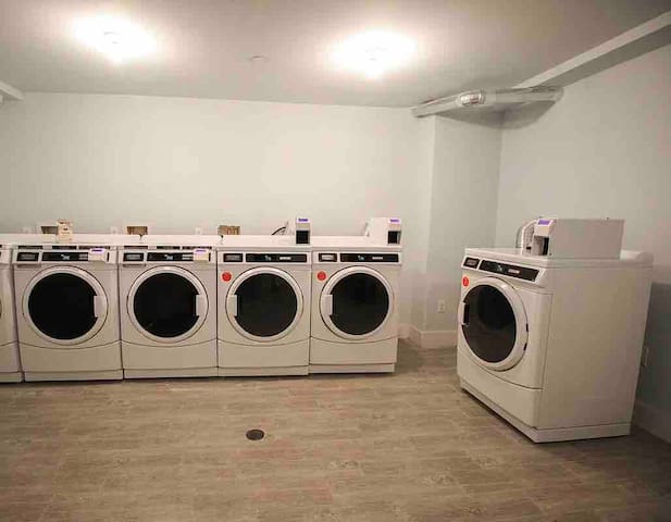 Modern Apartment in Vibrant Brooklyn gallery image 2