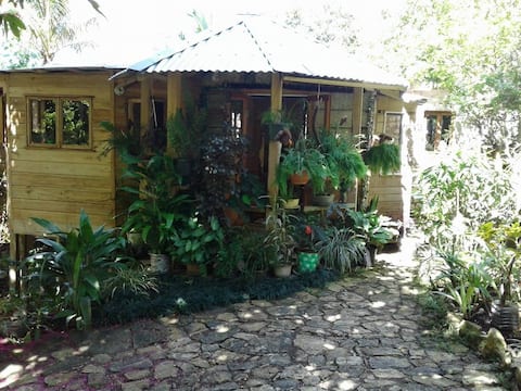 Mel's Botanical Retreat “Garden Oasis” 2 bedroom