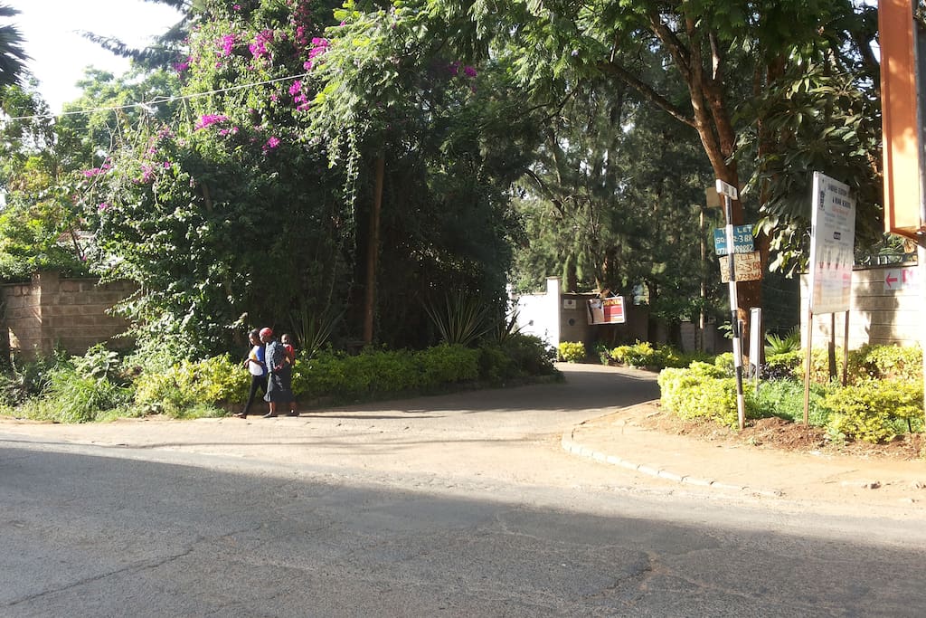 Entrance to Bamboo Lane, from Riara Road