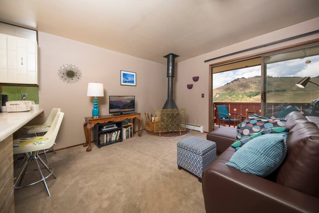 Sleeper sofa, fireplace and cable TV.