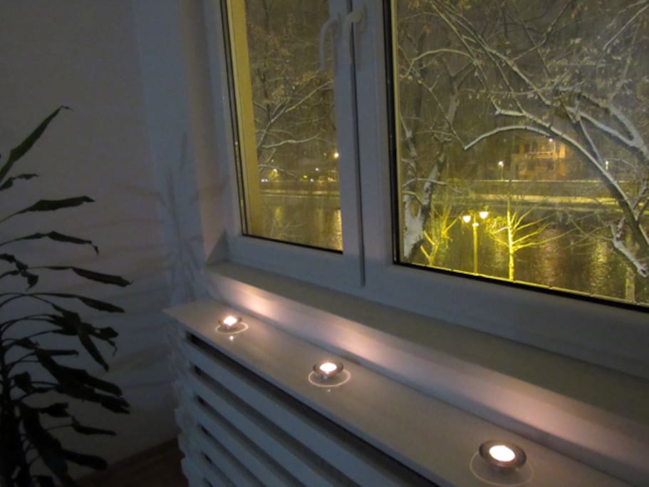 Window and balcony in the trees!