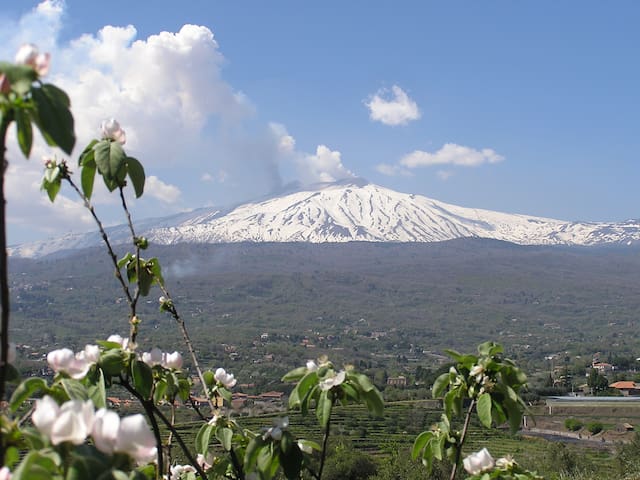 Family Eco Farm Facing Etna&Ocean